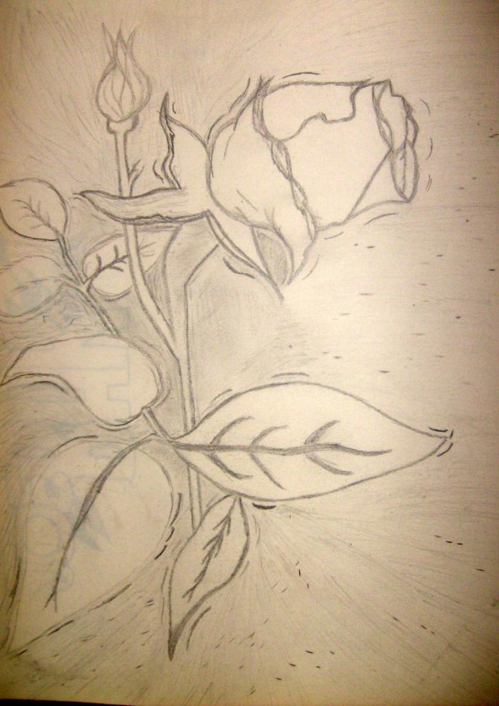 La Rose