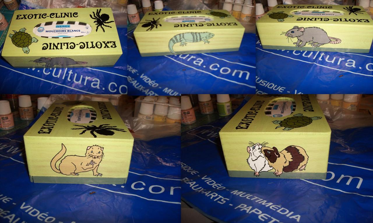 Boîte à Mouchoirs des Nouveaux Animaux de Compagnie (NAC)